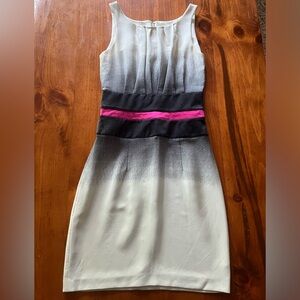 Silk Jay Godfrey Ombre Dress with Pink Accent SZ 2